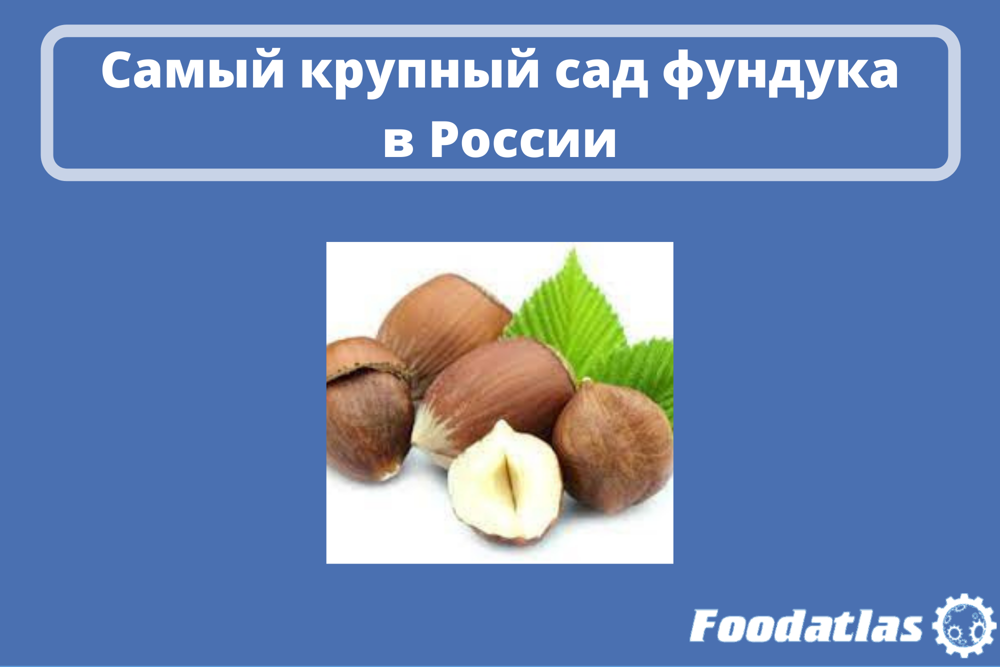 Увеличится до площади 1000 гектаров Увеличится до площади 1000 гектаров
