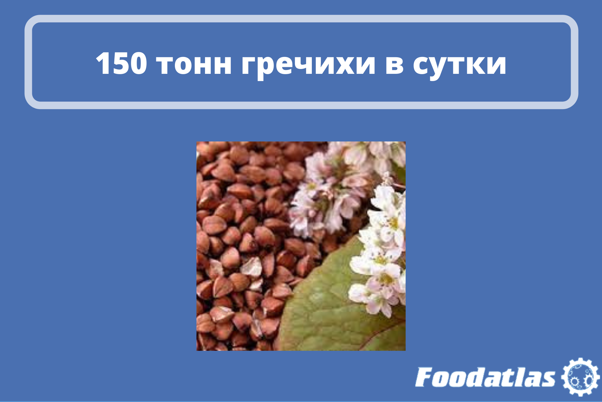 В Алтайском крае запустят новый цех по переработке В Алтайском крае запустят новый цех по переработке