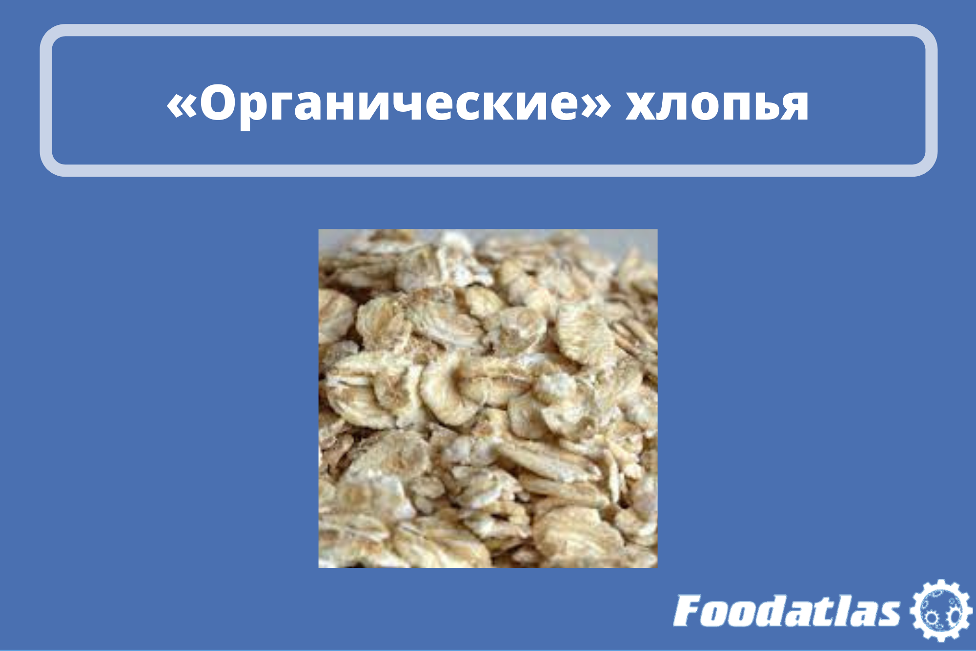 Овсяные хлопья из Ставропольского края получили новый статус Овсяные хлопья из Ставропольского края получили новый статус