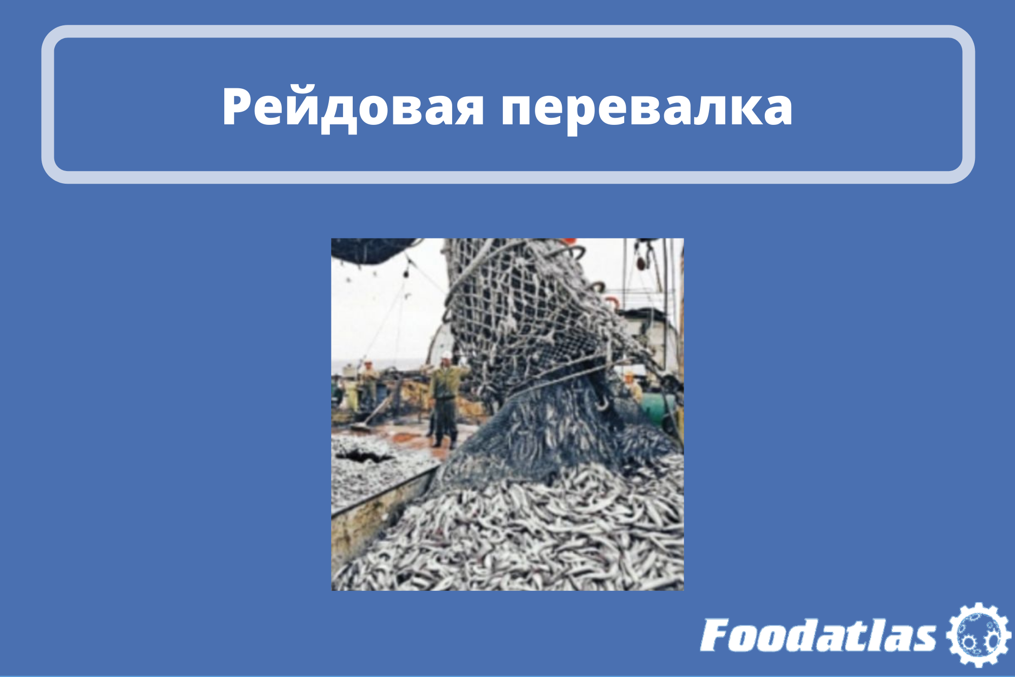 Под ограничения могут попасть рыба и зерно Под ограничения могут попасть рыба и зерно