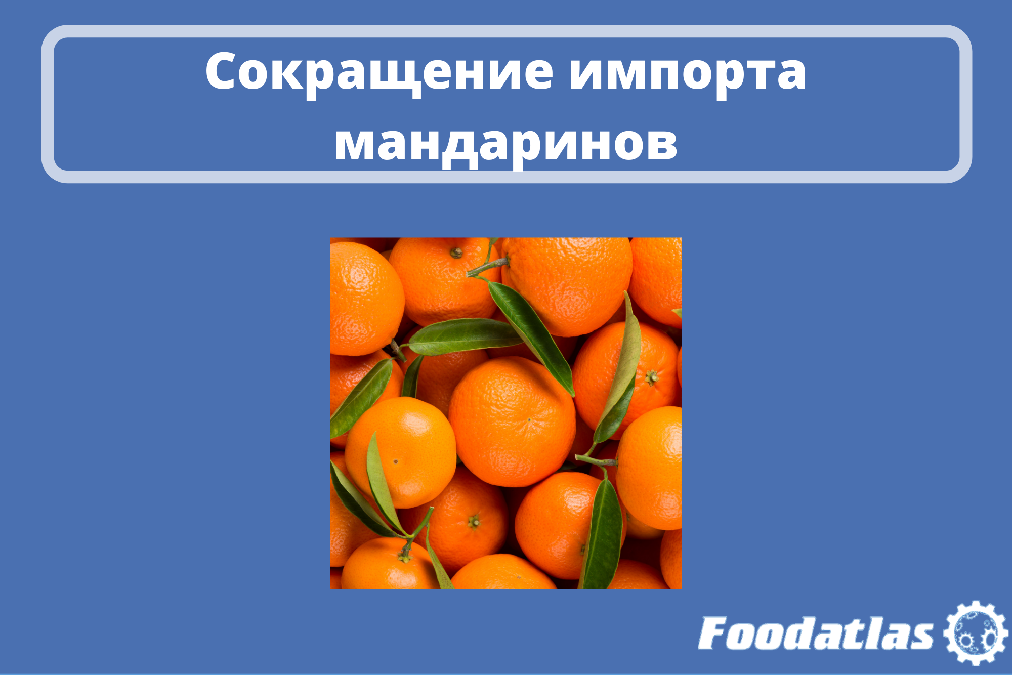 Прогноз таможни Прогноз таможни