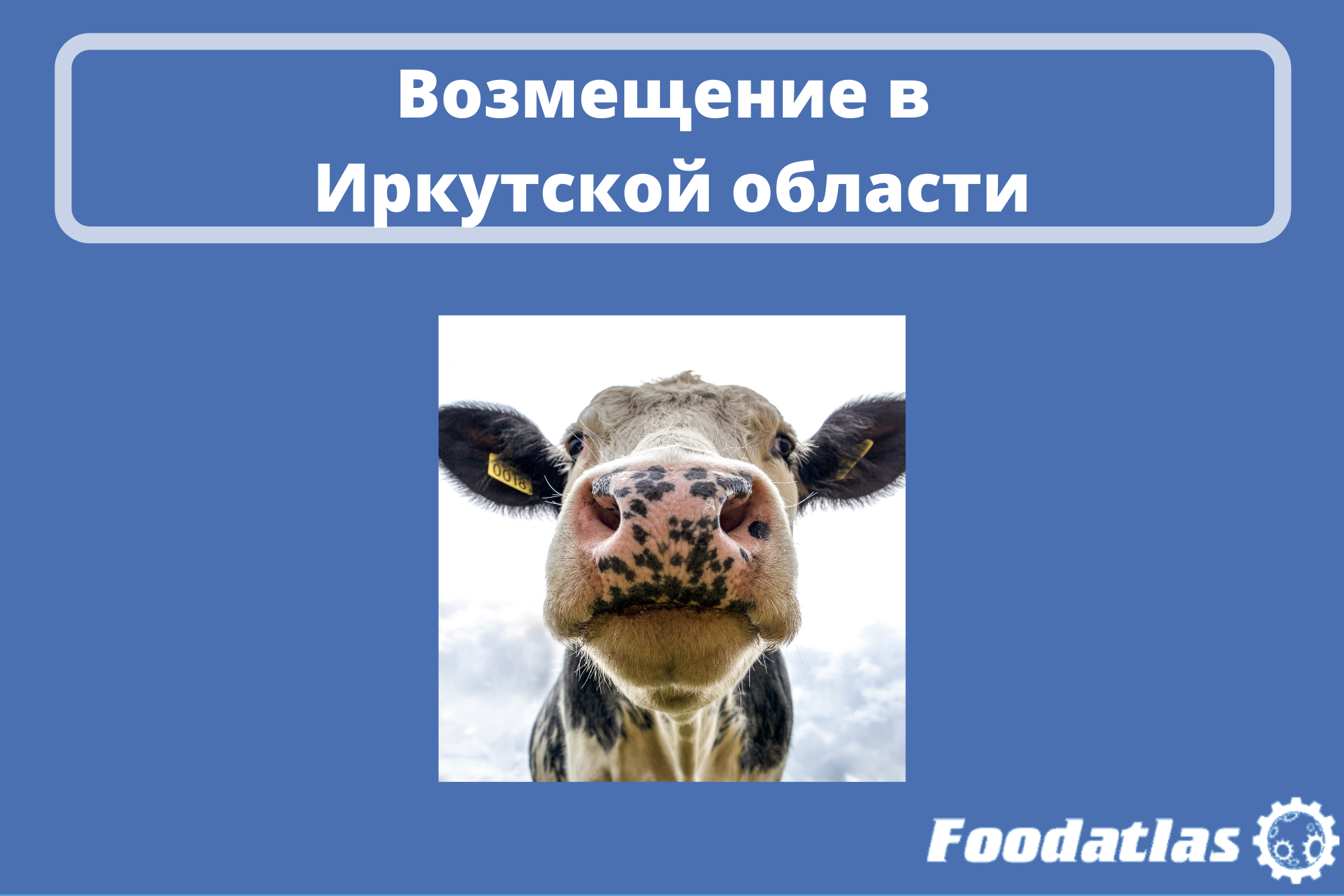 Компенсация затрат на развитие молочного животноводства Компенсация затрат на развитие молочного животноводства