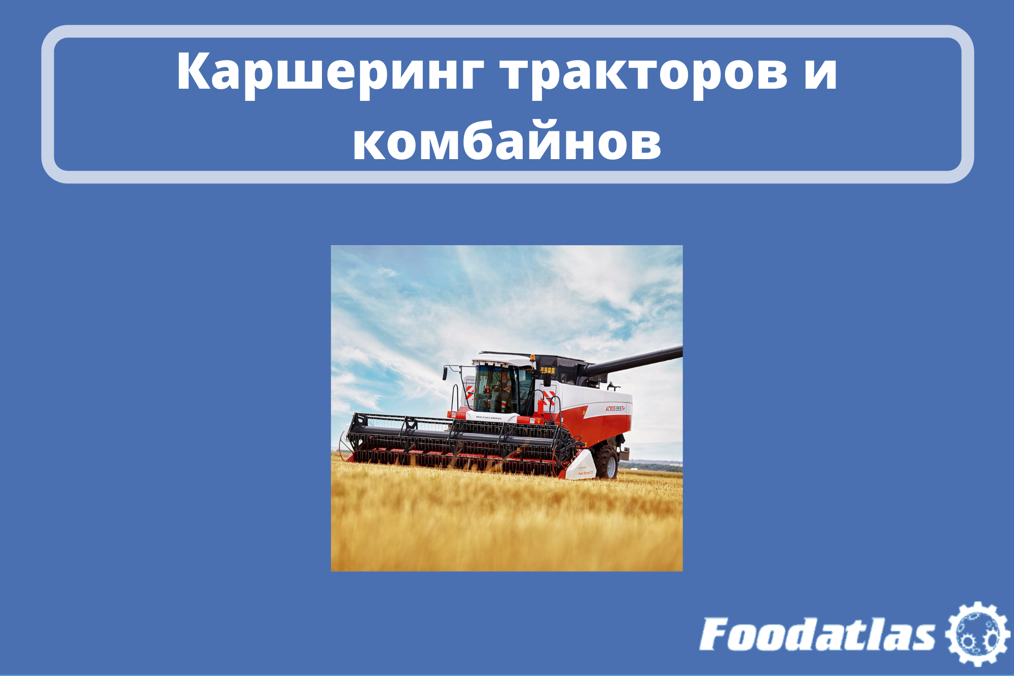 Сервис планируют запустить в 2023 году Сервис планируют запустить в 2023 году