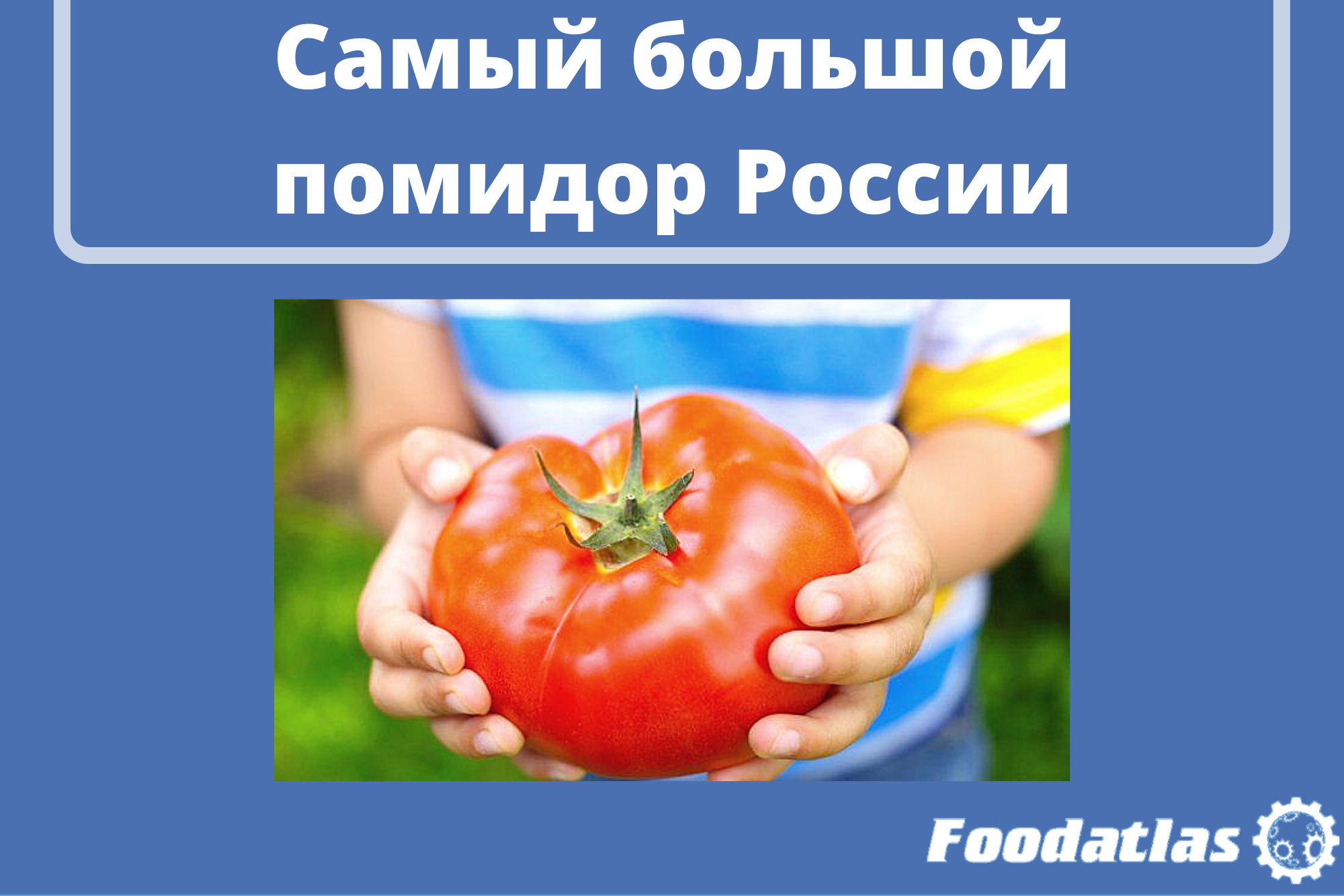 Выращен в Минусинске Выращен в Минусинске