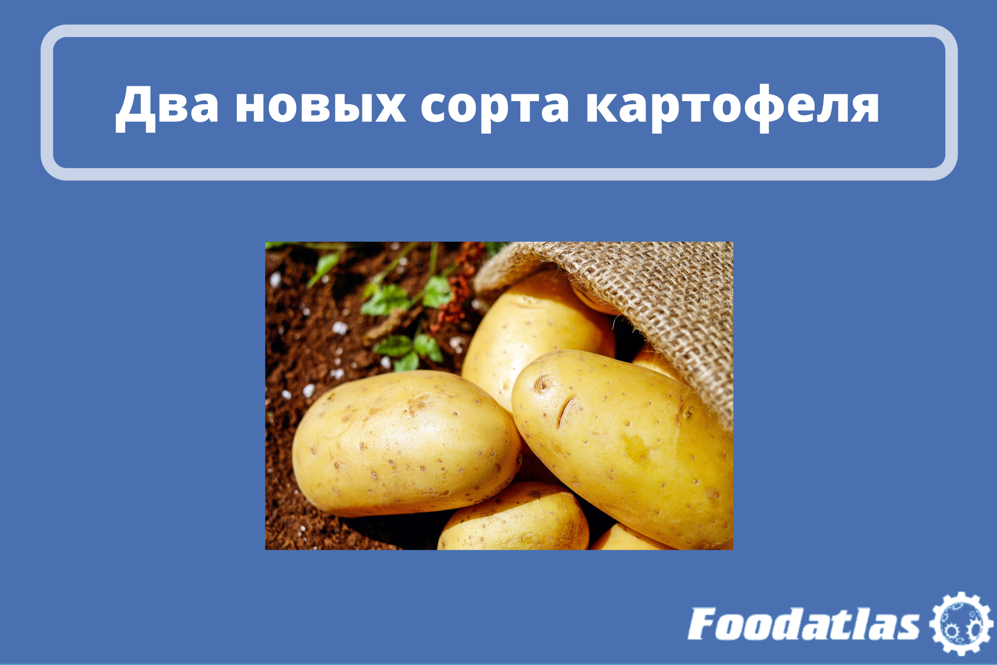 Прошли испытания в полях Прошли испытания в полях