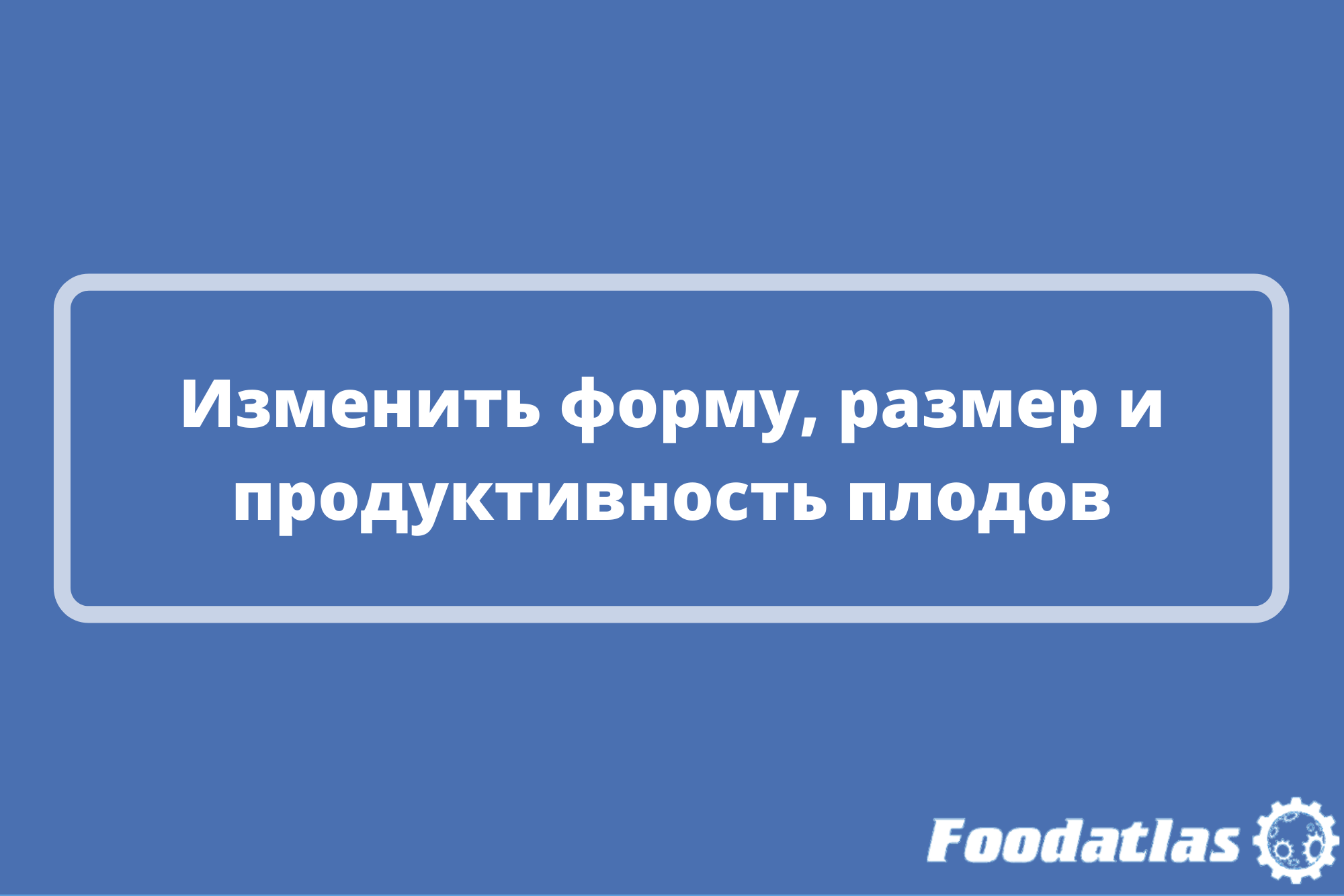 Генетические технологии российских биологов Генетические технологии российских биологов