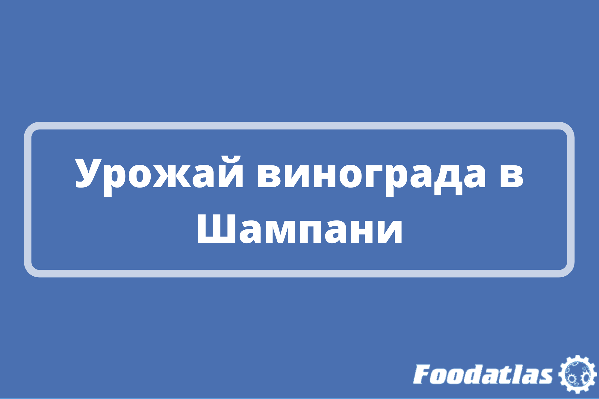 Из-за плесени в этом году будет меньше ожидаемого Из-за плесени в этом году будет меньше ожидаемого