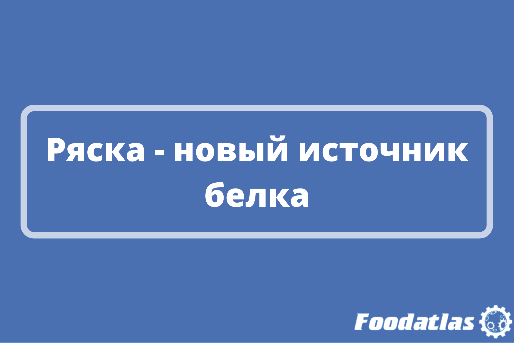 Для растительного сыра и мяса Для растительного сыра и мяса