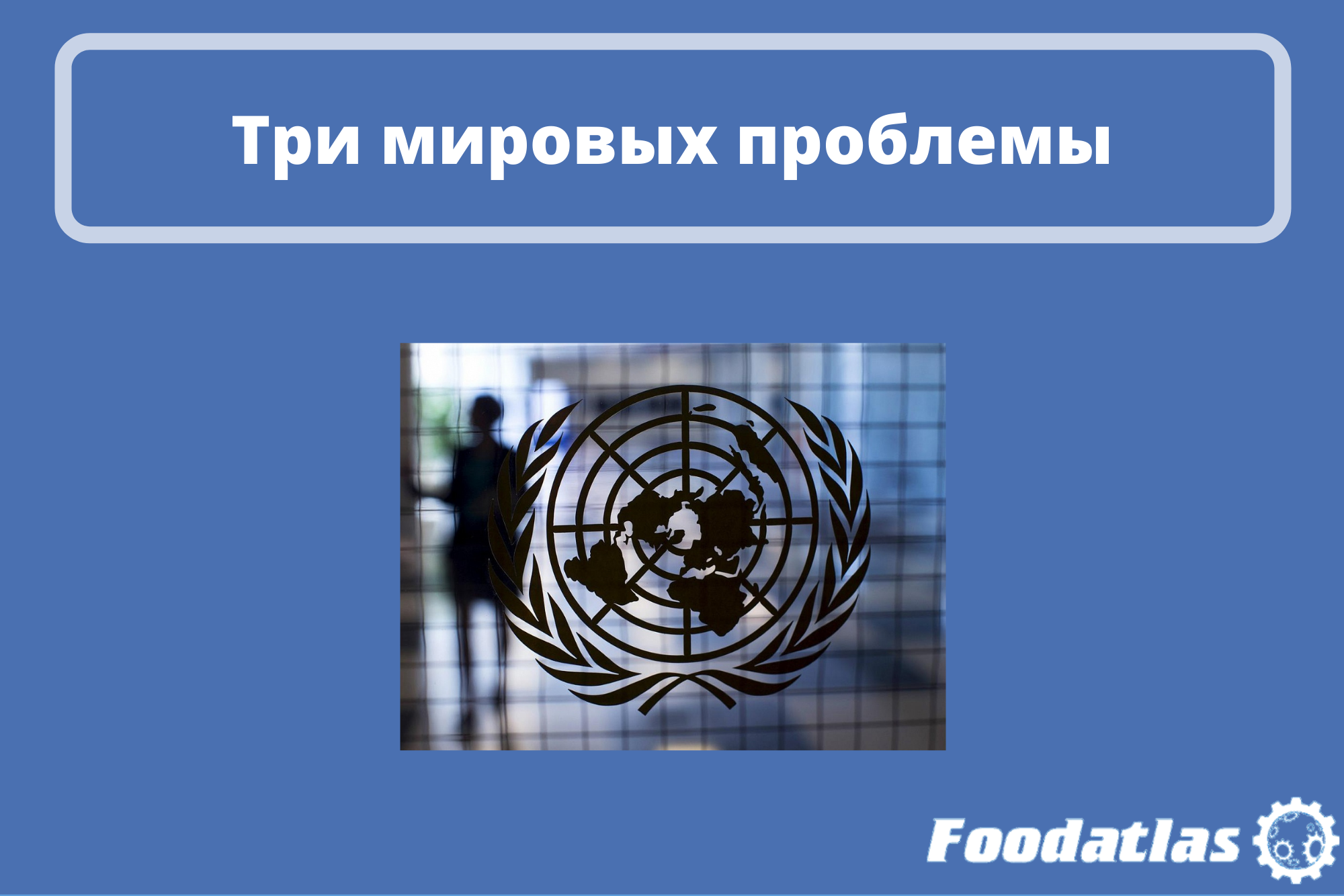 ООН обозначила вопросы, связанные с продовольствием ООН обозначила вопросы, связанные с продовольствием