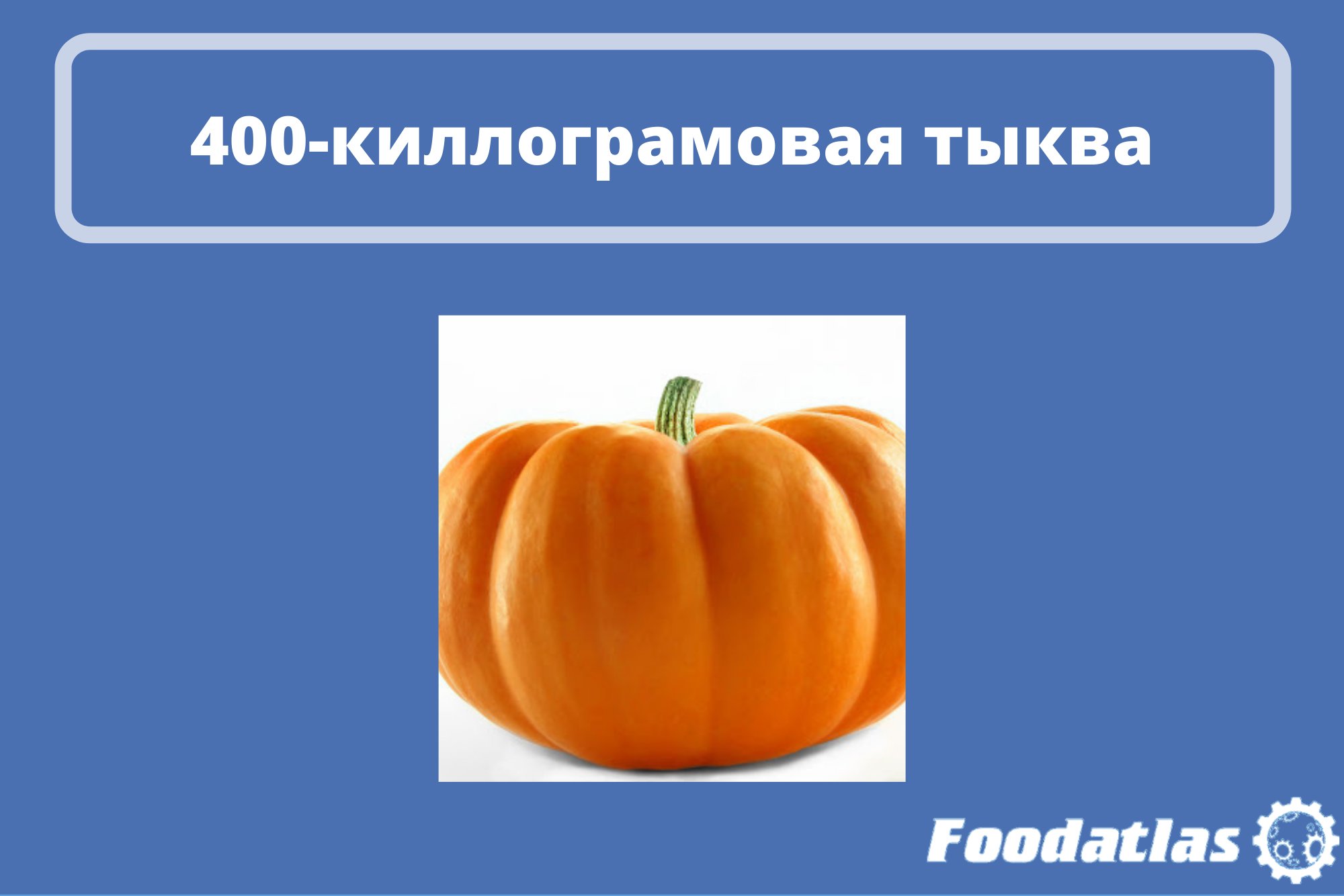 Фрукт из Оренбурга Фрукт из Оренбурга