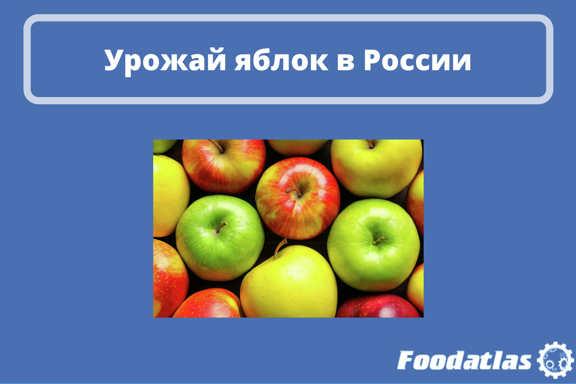Достигнет 1,5 млн тонн Достигнет 1,5 млн тонн