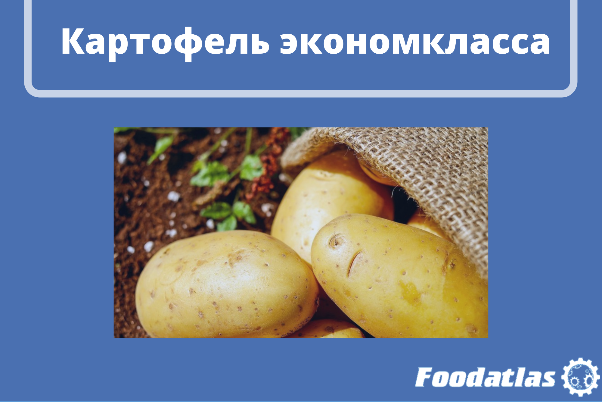 Ответ производителям на рост цен Ответ производителям на рост цен