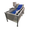Барботажная машина для мойки овощей и фруктов QX-2250 Foodatlas