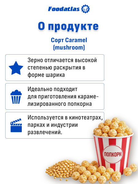 Зерна кукурузы лопающейся, сорт "Caramel-4", (25 кг)