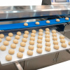 Автоматический укладчик продукции на подносы FA-600 Foodatlas (600х400)